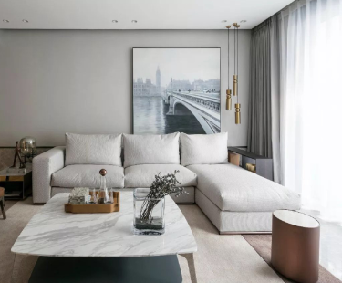 226平4室雅致新中其他