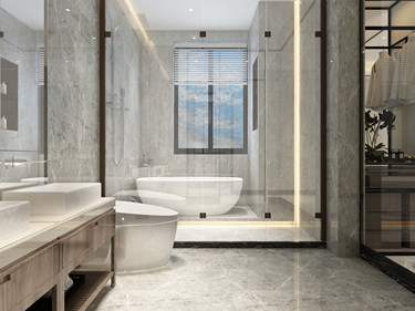 240平4室雅致新中卫生间