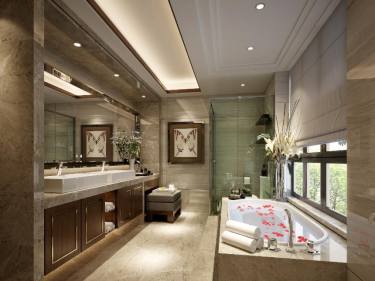 260平雅致新中卫生间