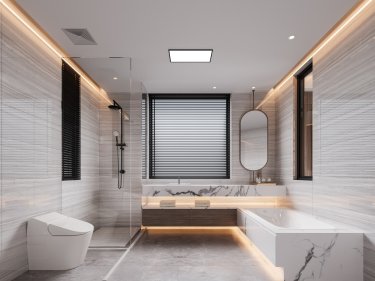 320平雅致新中卫生间