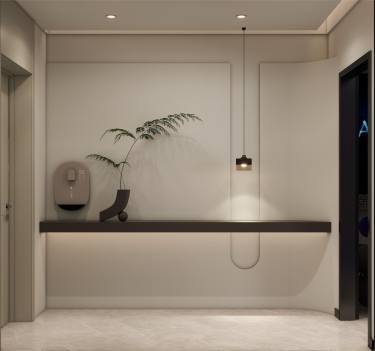 217平现代轻奢其他